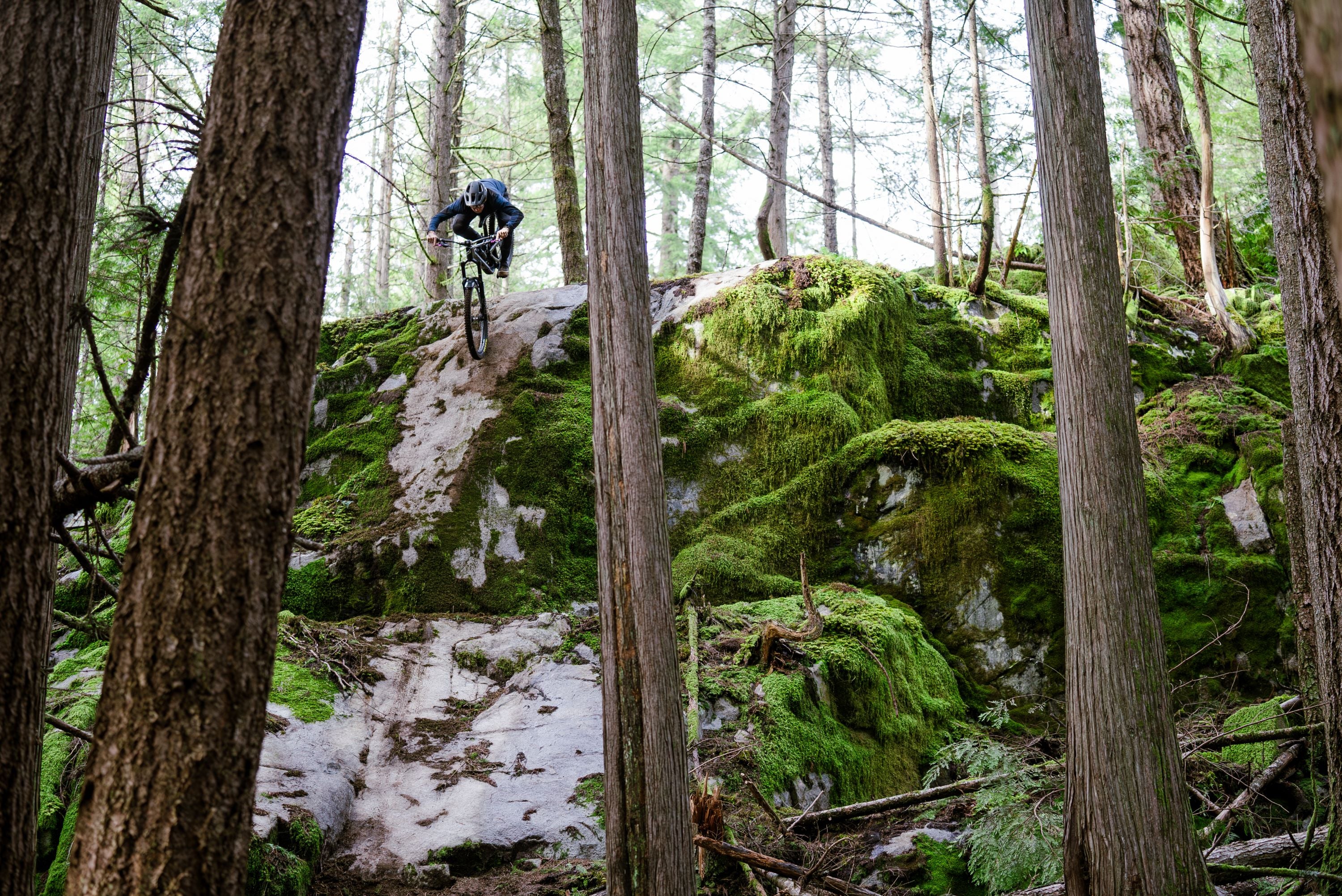 eMTB vs MTB: Which Is Right for You?